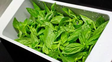 garnishing-instructions-image